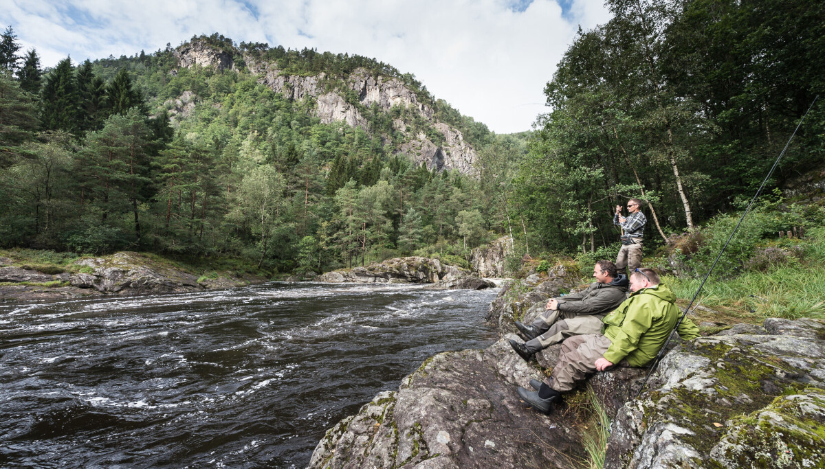 20 Beste Stedene Fiske Laks I Norge 20-beste-stedene-fiske-laks-i-norge