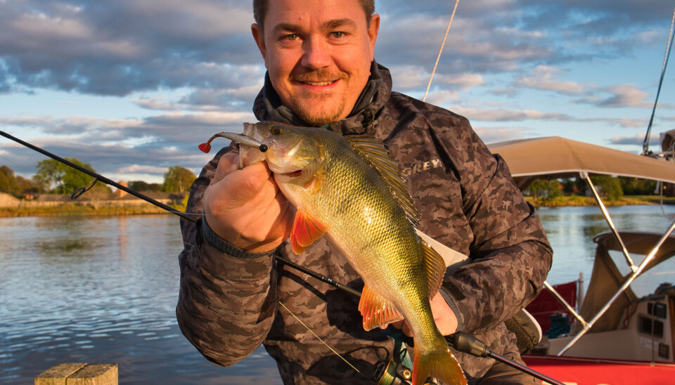 Artikkelforfatteren med en flott bryggeabbor fra Østlandet. Denne ble fisket mellom brygger og båter, hvor det var mulig å kaste eller pilke med softbaits. Artikkelforfatteren med en flott bryggeabbor fra Østlandet. Denne ble fisket mellom brygger og båter, hvor det var mulig å kaste eller pilke med softbaits.