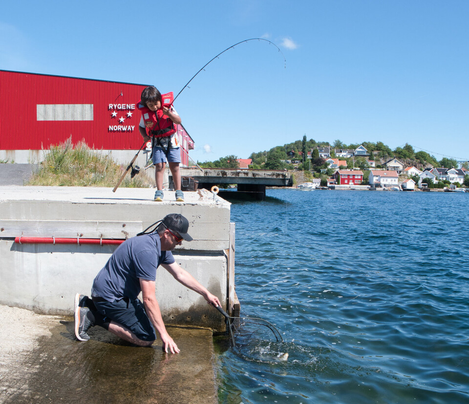 Arendal byr gode fiskeopplevelser for store og små – midt i byen.