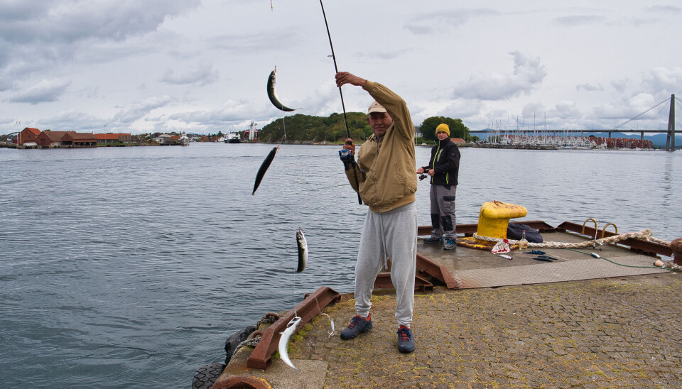 Dypt vann tett på byene, gjør både Stavanger og Sandnes til gode destinasjoner for urbant fiske. Dypt vann tett på byene, gjør både Stavanger og Sandnes til gode destinasjoner for urbant fiske.