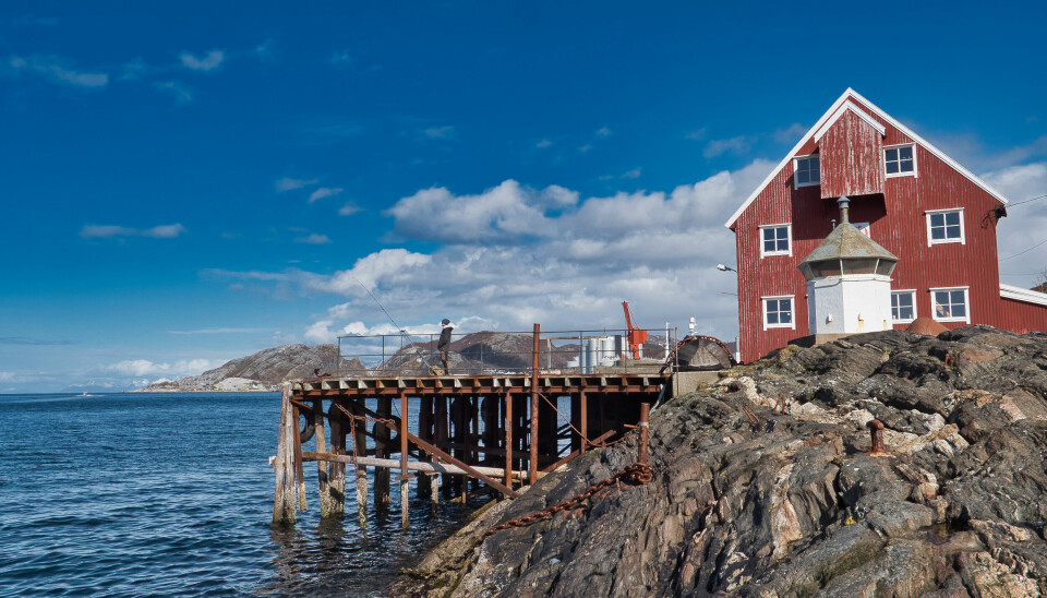 Er du på tur til Bodø, kan du forvente rå fiskeopplevelser både i byen, langs kysten og i Saltstraumen.