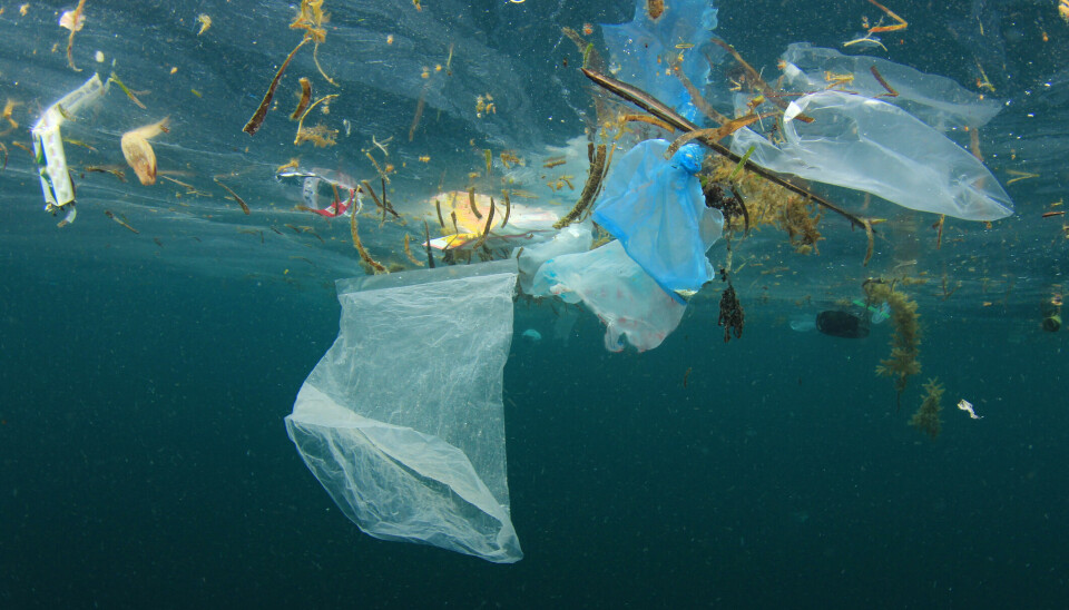 En ny studie viser at det trolig er en større andelen av plasten i havet som svømmer i overflaten enn først antatt. Det kan gjøre oppryddingsarbeidet enklere.