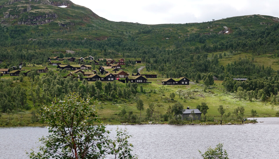 Omfattende hyttebygging og økt ferdsel i fjellet har gitt den hardt pressede villreinen stadig mindre boltreplass. Her fra Rauland ved foten av Hardangervidda. hyttefelt Rauland
