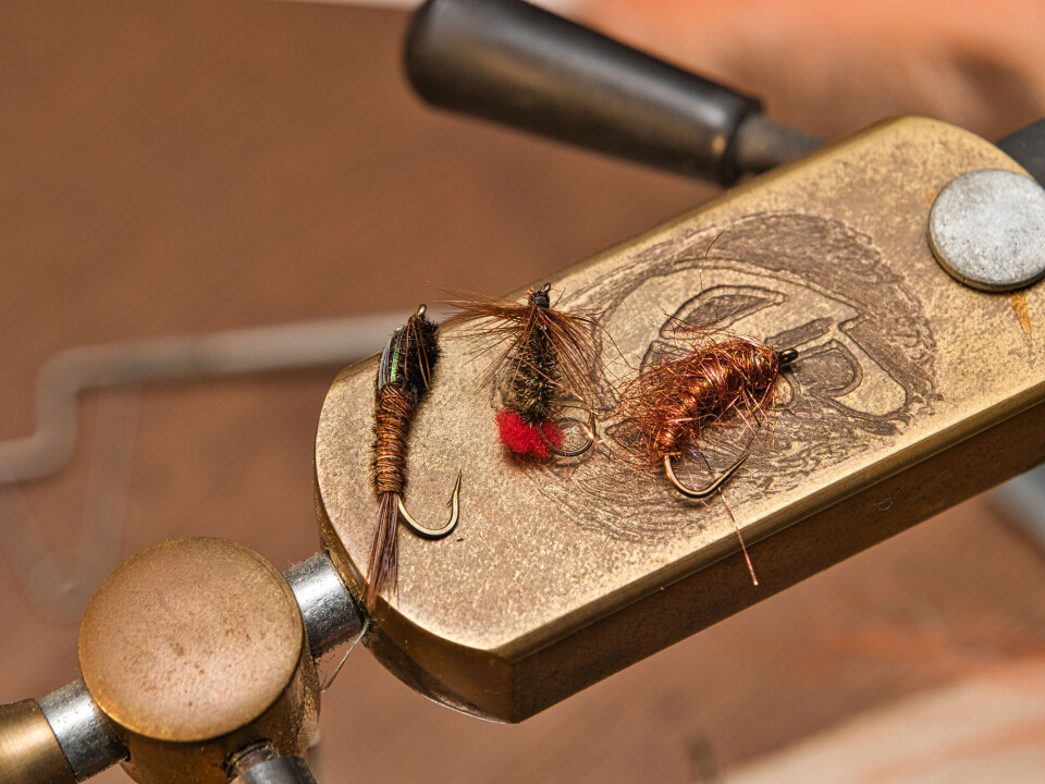 Pheasant Tail nymfe, Red Tail tørrflue og Kobberbassen tangloppe er fine startfluer for nybegynnere.