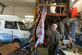 Med vante grep får Harald «frakken» av svinet.