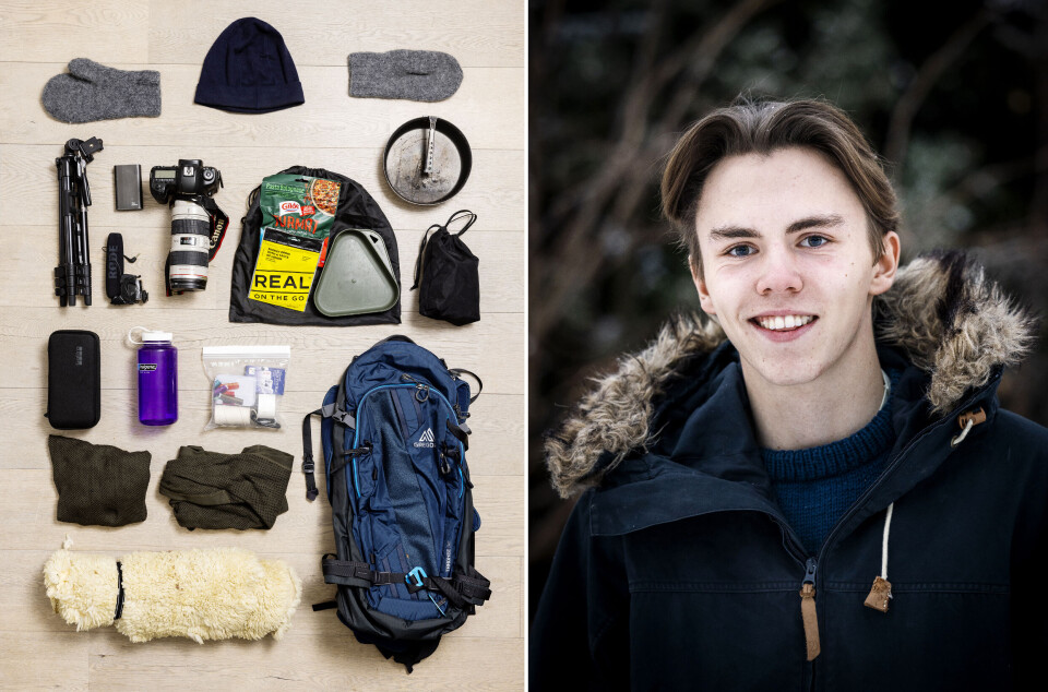 – Har du ikke telt, kan du sove under ei gran