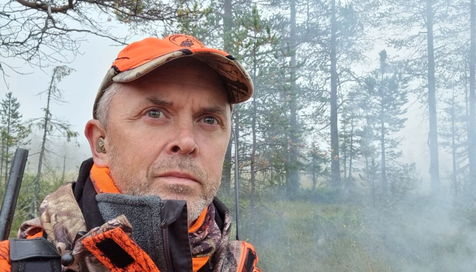 En rekordstor villsvinbestand, samt dåhjort og hjort, reduserer mengden tilgjengelig elgmat, påpeker Fredrik Widemo, lektor ved Sveriges Landbruksuniversitet. Reportasje || Stor endring i elgbestanden