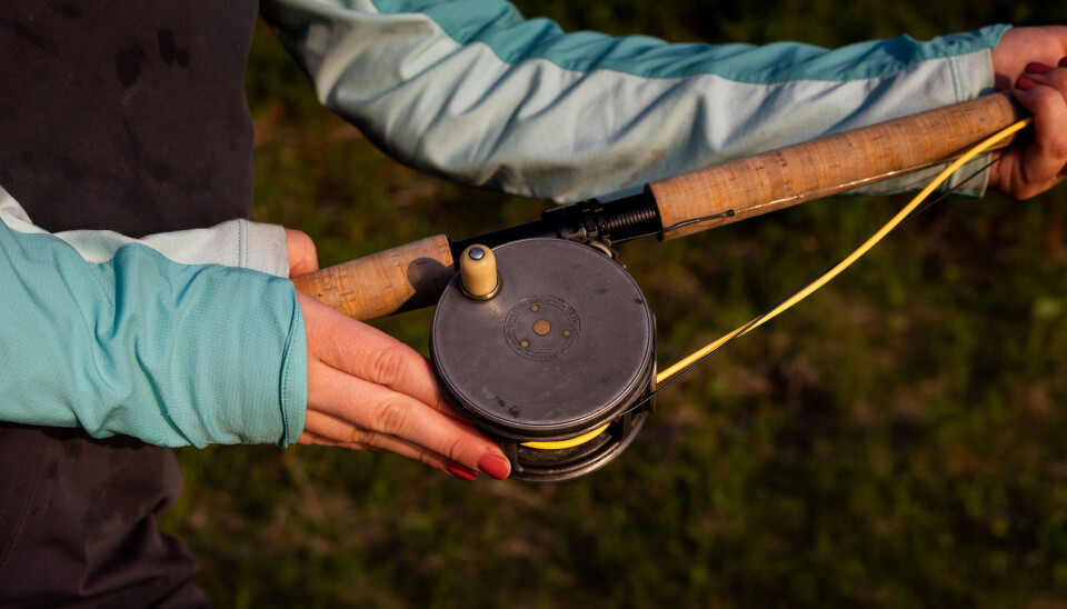 Snella, en Hardy Bros LTD Perfect, ble kjøpt av Guros oldefar, og har gått i arv i familien. Hardy Bros LTD Perfect er snella som er avbildet her, en gammel snelle som ble kjøpt av fiskerens oldefar.