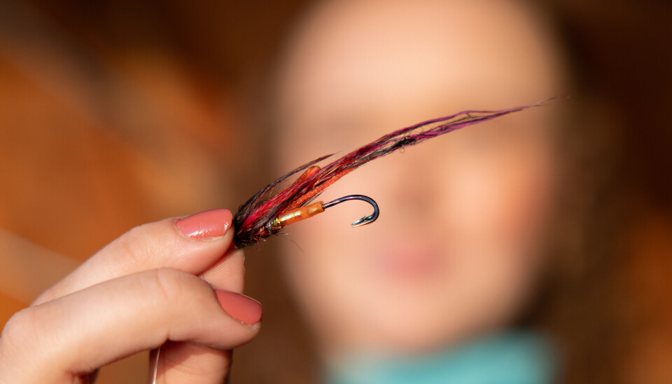 Tubleflua In Flames fra Frödin har mye flash og farge, og er Guros favoritt på stor og farget elv. Tubleflua In Flames fra Frödin har mye flash og farge, og er Guros favoritt på stor og farget elv.