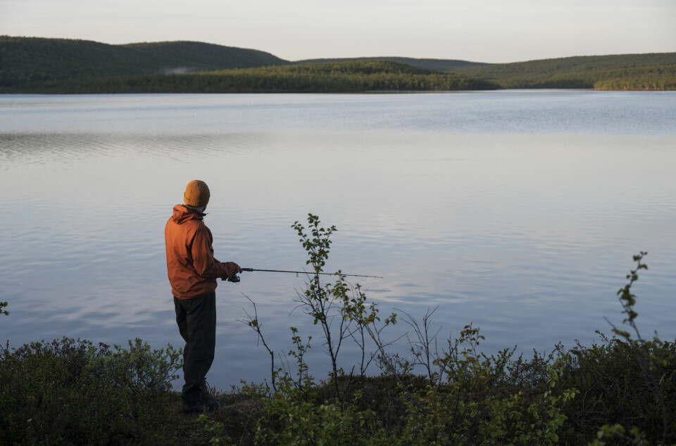 Bildet viser en fisker ved et stille vann i Finnmark. Lyst til å fiske i Finnmark uten å bli spist opp av mygg? Her får du gode råd til når og hvor du skal dra.