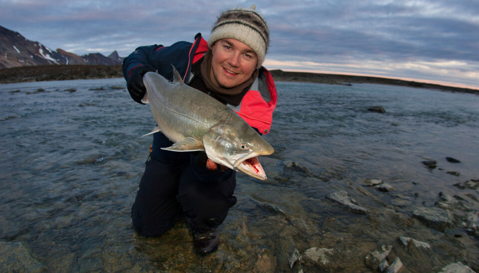 Ikke glem røyene på Svalbard. Denne veide 3,5 kg, tatt på spinner i en navnløs elvestubb. I det grumsete vannet kom fluefiskerne til kort. Ikke glem røyene på Svalbard. Denne veide 3,5 kg, tatt på spinner i en navnløs elvestubb. I det grumsete vannet kom fluefiskerne til kort.