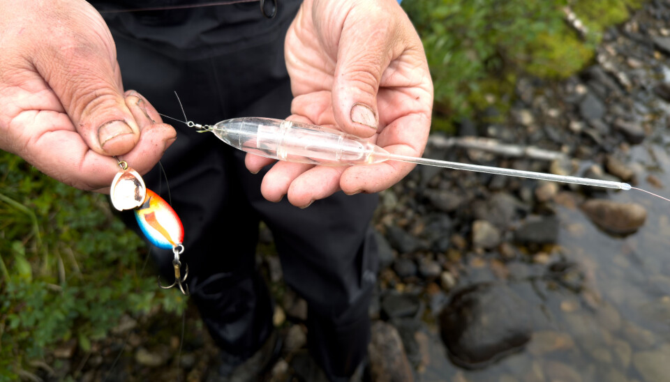 Kombiner gjerne lette spinnere med en synkende kastedupp. En giftig kombinasjon når røyene står dypt. Kombiner gjerne lette spinnere med en synkende kastedupp. En giftig kombinasjon når røyene står dypt. Her har vi bilde av kombinasjonen.