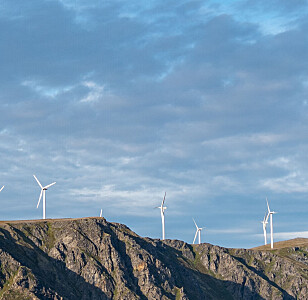 Ønsker ingen «teppelegging» av fylket