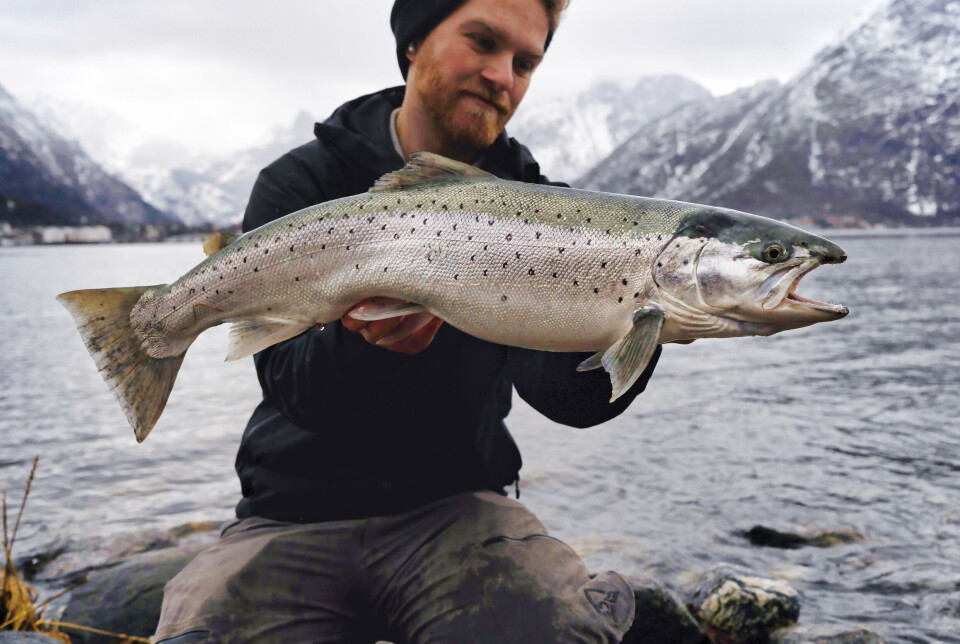 Ta sjøørreten med EKTE vare