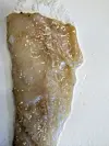 Filet av Kudoa-infisert kysttorsk (gelefisk) noen timer etter tining.