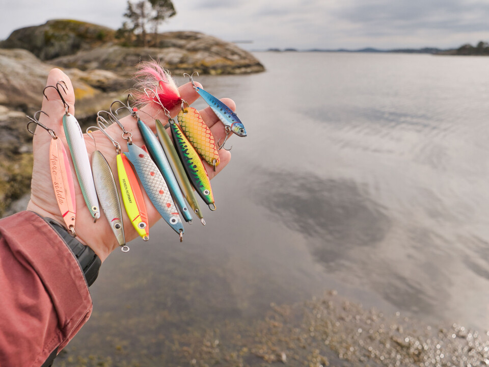 Her får du ti bunnsolide tips til å fiske med sluk i sommerferien!