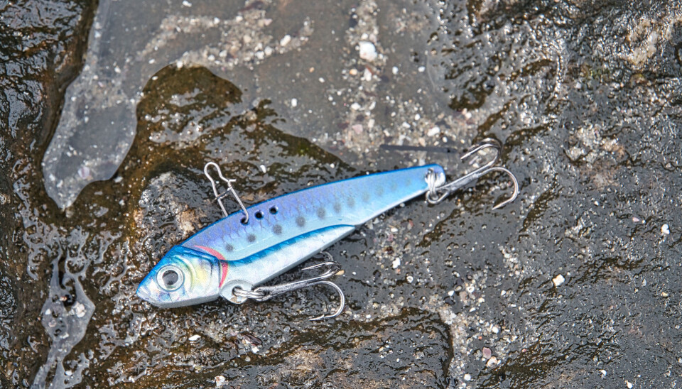 Prey Bladerunner tilhører en litt nyere slukkategori, som har vist seg effektiv. Vekt avbildet sluk: 18 g. Prey Bladerunner tilhører en litt nyere slukkategori, som har vist seg effektiv. Vekt avbildet sluk: 18 g. En blå sluk som er fotografert på en stein, trolig fiskeplassen til artikkelforfatteren.