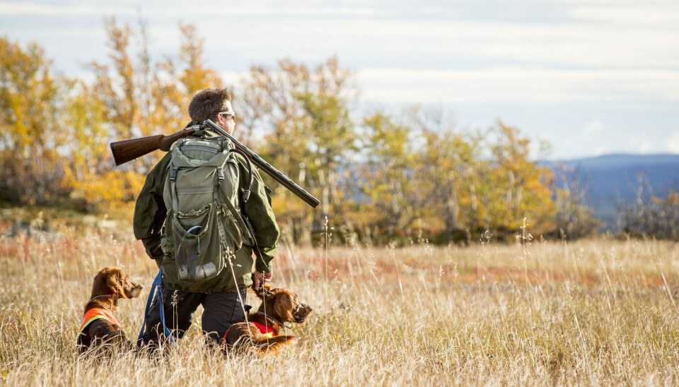 Slik blir rypejakta og skogsfugljakta hos Statskog 2025