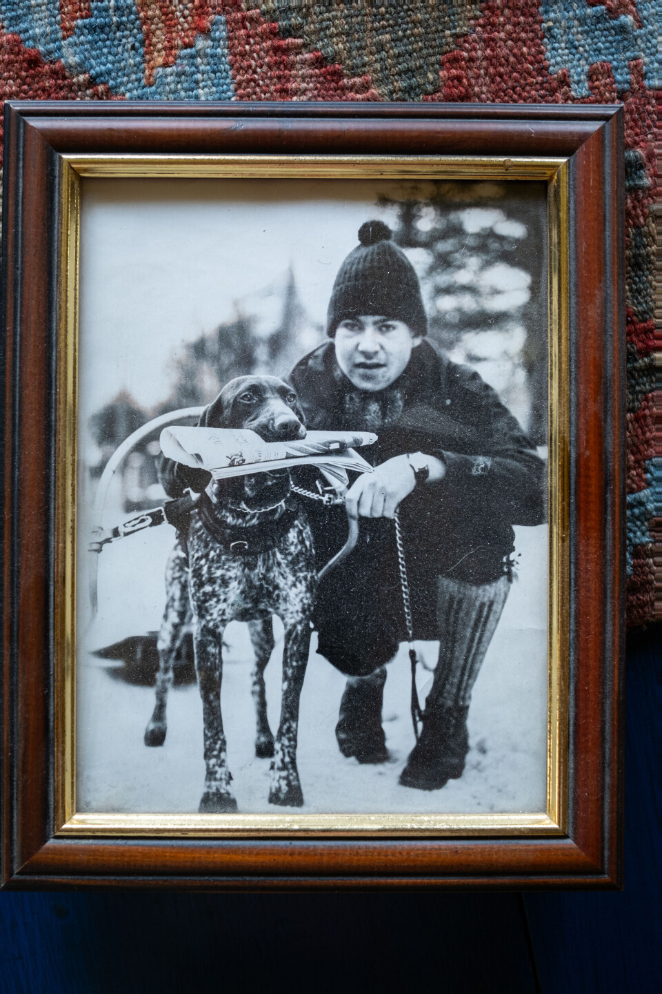 Fredrik Aalerud vokste opp i Bergen, hvor han jaktet rype i byfjellene. Han fikk sin første fuglehund i 1965, en korthåret vorsteher, kjøpt for penger han tjente som avisbud i Bergens Tidende. Fredrik Aalerud vokste opp i Bergen, hvor han jaktet rype i byfjellene. Han fikk sin første fuglehund i 1965, en korthåret vorsteher, kjøpt for penger han tjente som avisbud i Bergens Tidende. Bilde av en ung Fredrik Aalerud med sin fuglehund.