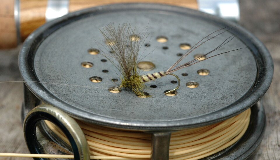 En effektiv Mayfly- imitasjon og passende snelle: En Hardy Perfect fra 1930-årene. En effektiv Mayfly- imitasjon og passende snelle: En Hardy Perfect fra 1930-årene.