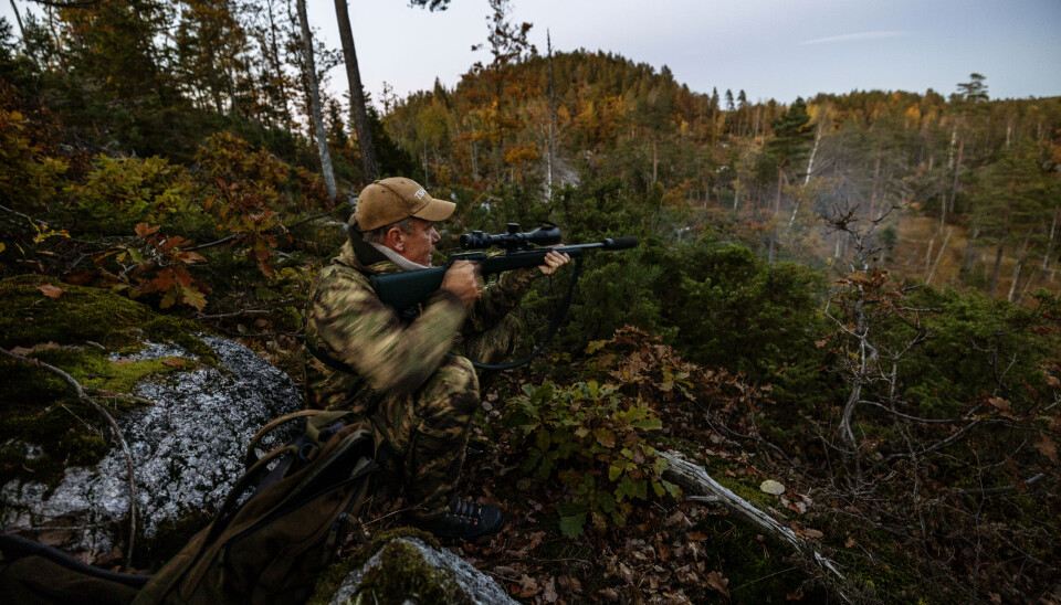 Én, to, tre, fire skudd gjaller i skumringen. Når det mørkner vil Ole Tommy gjøre alt for å unngå ettersøk. Da skyter han til dyret faller. Én, to, tre, fire skudd gjaller i skumringen. Når det mørkner vil Ole Tommy gjøre alt for å unngå ettersøk. Da skyter han til dyret faller.