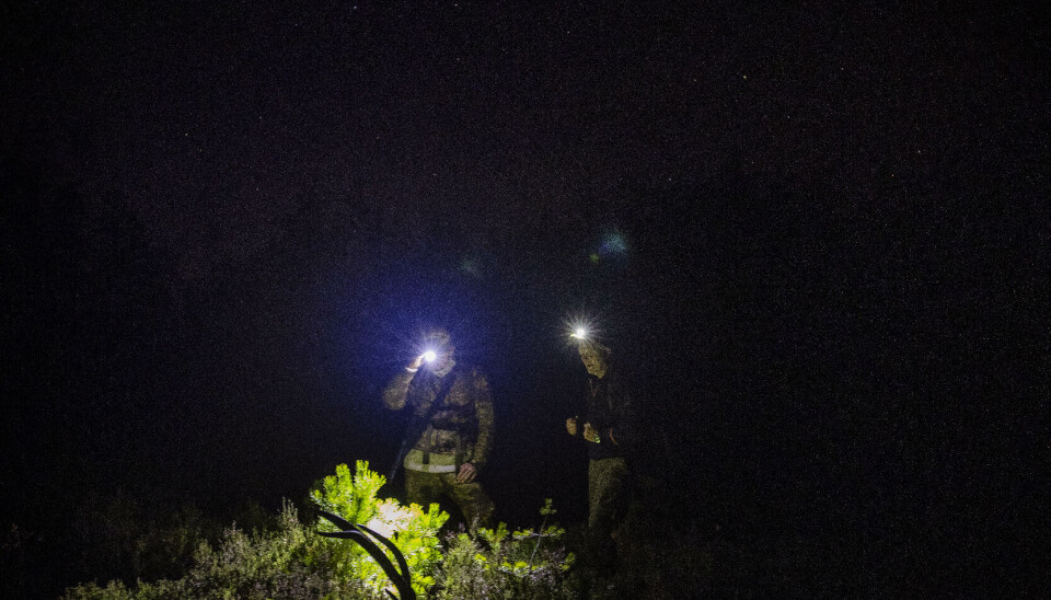 – Jeg merker jo at jeg ikke lenger er 20 år, sier Ole Tommy med Karlsvogna lysende over seg. Han får hjelp av kamerat Kurt Tore Fossnes til å få bukken hjem. – Jeg merker jo at jeg ikke lenger er 20 år, sier Ole Tommy med Karlsvogna lysende over seg. Han får hjelp av kamerat Kurt Tore Fossnes til å få bukken hjem.