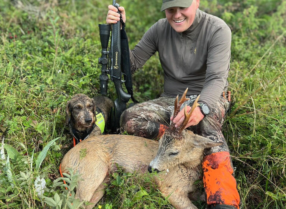 Håkon Akselsen lokket inn en staselig revirbukk på bukkejaktas første dag. Takket være dachsen Otto, ble dyret funnet 100 meter fra skuddplassen.