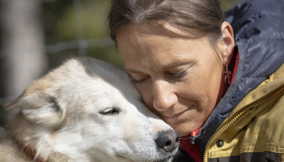 Kasin føler ikke at hennes oppgave er å redde verden. – Jeg klarer å sove godt om natta. Min oppgave er å fortelle historiene, sier hun. Her med sin gode venn Gypsy. Marit Beate Kasin med alaskahusky Gypsy.