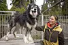 Marit Beate Kasin og alaskahusky Nord