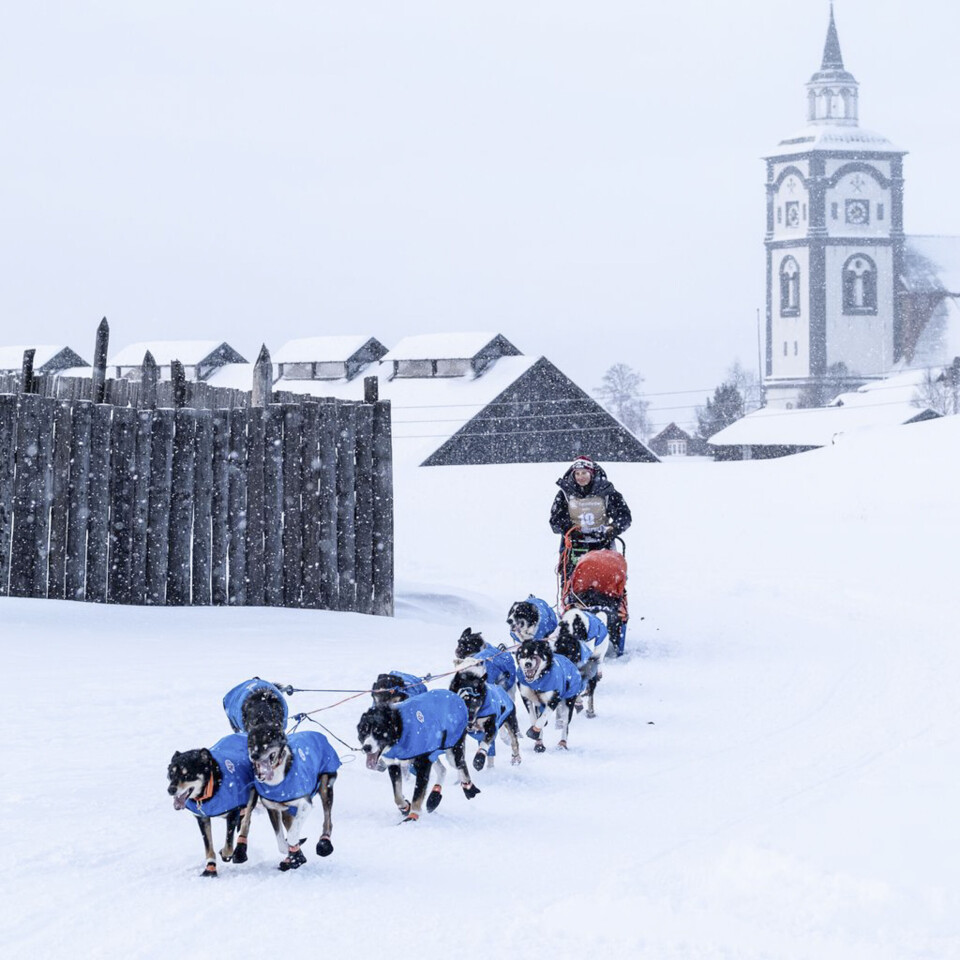 Kasin konkurrerer i langdistanseløp som Femundløpet og Finnmarksløpet.