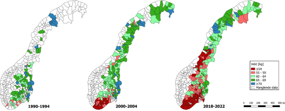Figur 1. Gjennomsnittlig slaktevekt for elgkalv i norske elgbestander i perioden 1990–2022 (Histøl og Hjeljord 19953, Hjorteviltregistret)
