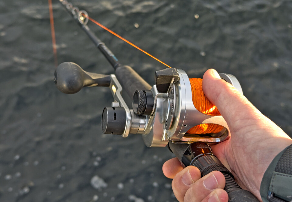 Røff utfordrer i tøft segment