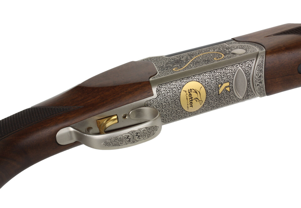 Tyrkisk setter for norske jegere