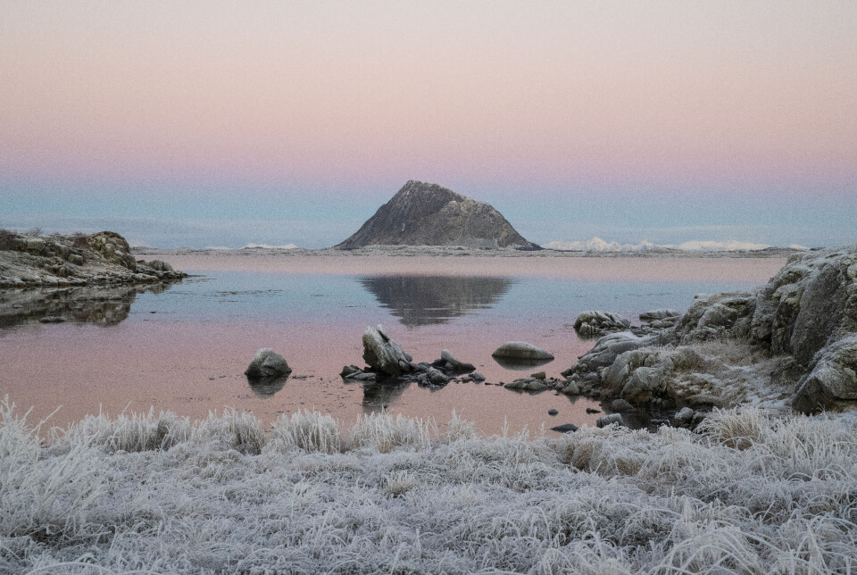 En av de første frostnettene har forvandlet landskapet til et maleri. Her ser vi bilde av en nydelig frostnatt i Lofoten, himmelen er rosa og skimter ned i vannet.