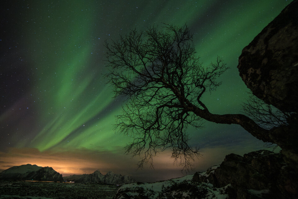 Når natten faller, på danser nordlyset over himmelen. Her kan vi se nordlyset legge seg over Lofoten, det grønne lyset fra himmelen er utrolig vakkert.