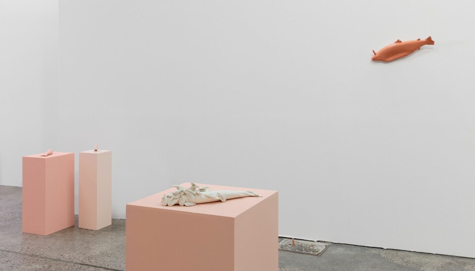 I Bærum Kunsthall kan du se kunst som retter et kritisk søkelys mot oppdrettsnæringen.