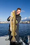 Fiskeguide Thomas Flem har finslepet torsketeknikken og bruker ekkolodd og dybdemåler for å finne fisken. Hans beste tips er å lirke og lure framfor mye og hard rykking. Denne torsken ble tatt i Borgundfjorden, rett utenfor sentrum av Ålesund.