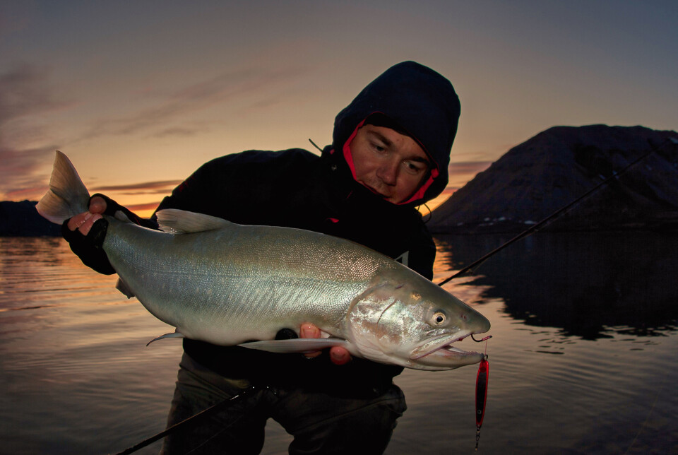 Fiske røye på Svalbard
