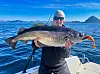 Fiskeguide Thomas Flem hos Actin Fishing i Ålesund med en smakebit på noe av det Mørekysten har å by på.