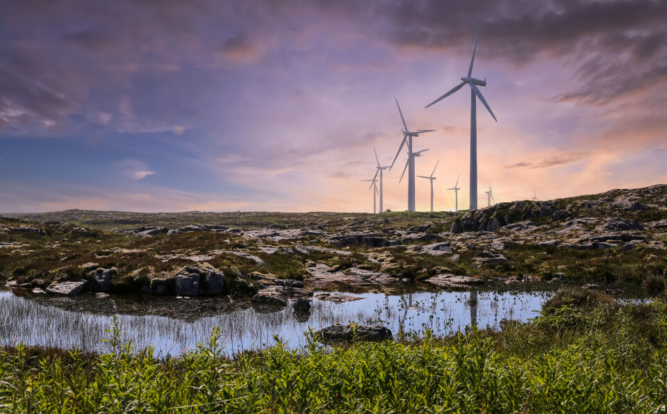 Vi trenger mer ren energi for å ta vare på naturen