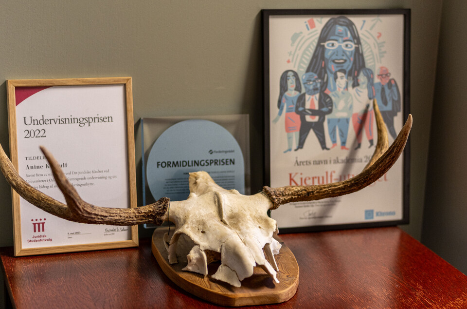 Anine Kierulf høster gjerne fra naturen, men sanker også priser for sitt arbeid. Diplom undervisningsprisen. Diplom formidlingsprisen. Prisen Årets navn i akademia til Kierulf-utvalget. Elgskalle på bordet.