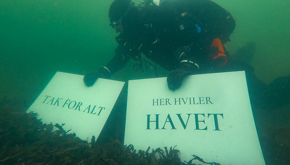 Begravelsen av Vejle Fjord i Danmark markerte et skifte i innsatsen for fjorden.