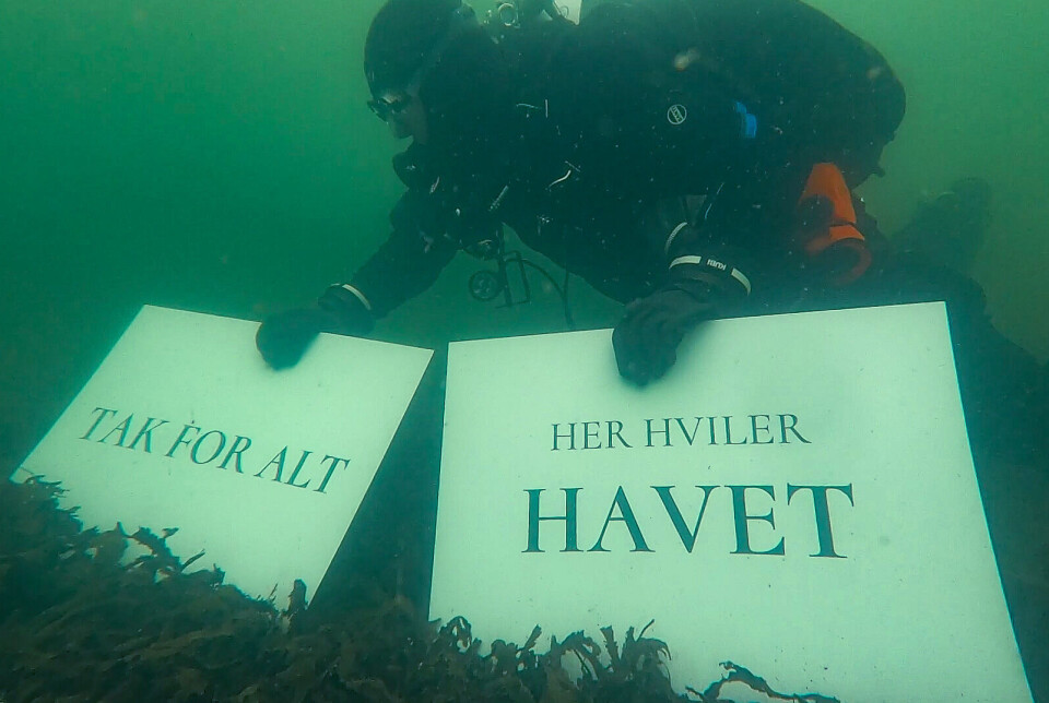 Historien om en kvalt fjord