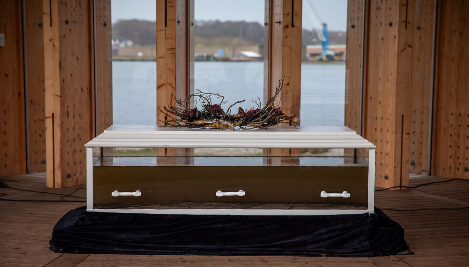 Mudder og vann fra Vejle Fjord ble lagt i en glasskiste, for å symbolisere fjordens livløse tilstand.