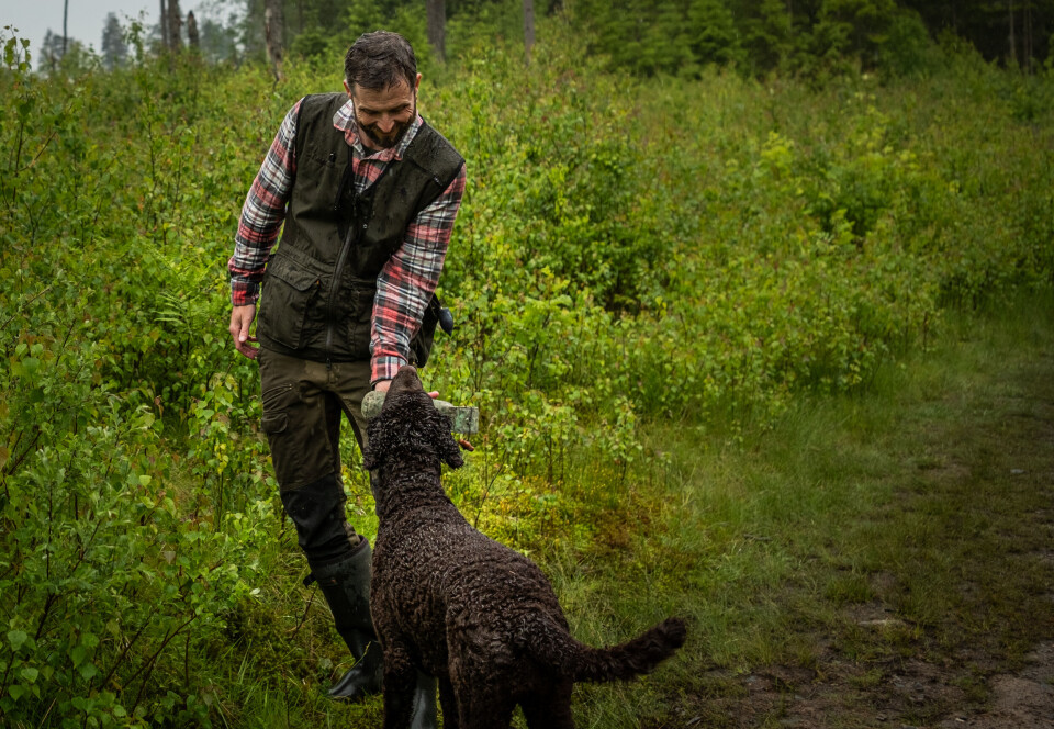 Velskapt vest for hundetrening