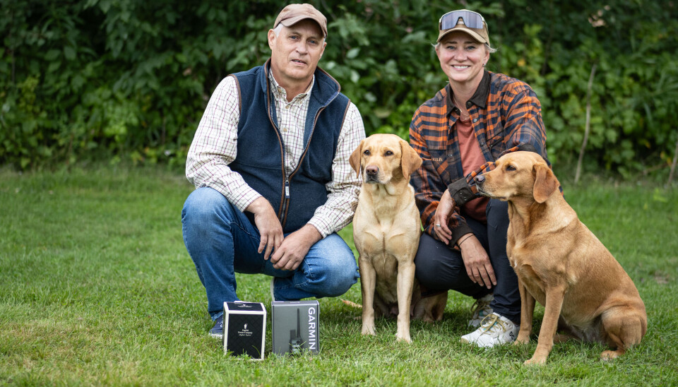 Frank Hermansen og Ellen Espedal har for andre år på rad ført fram en labrador retriever av internasjonalt kaliber. Både Gunsight´s Hathersage og Gunsight´s Firecrest har havnet på pallen i «Årets jakthund».