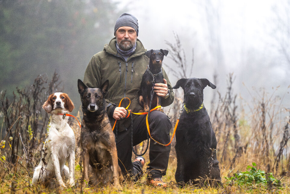 Guide Trening Av Sporhund guide-trening-av-sporhund