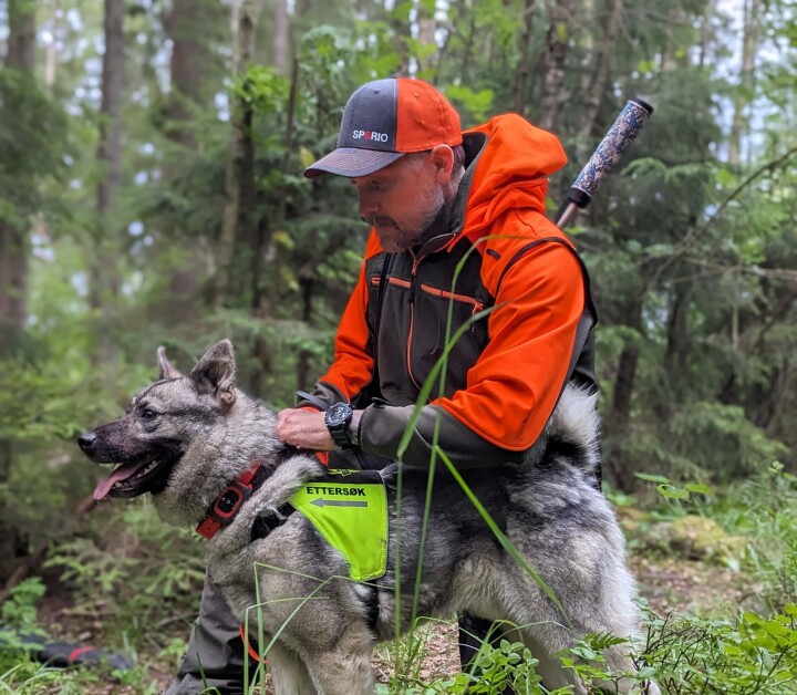 Slik bygger du en bedre sporhund