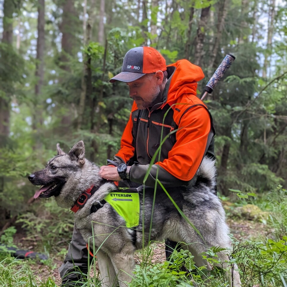 Slik bygger du en bedre sporhund