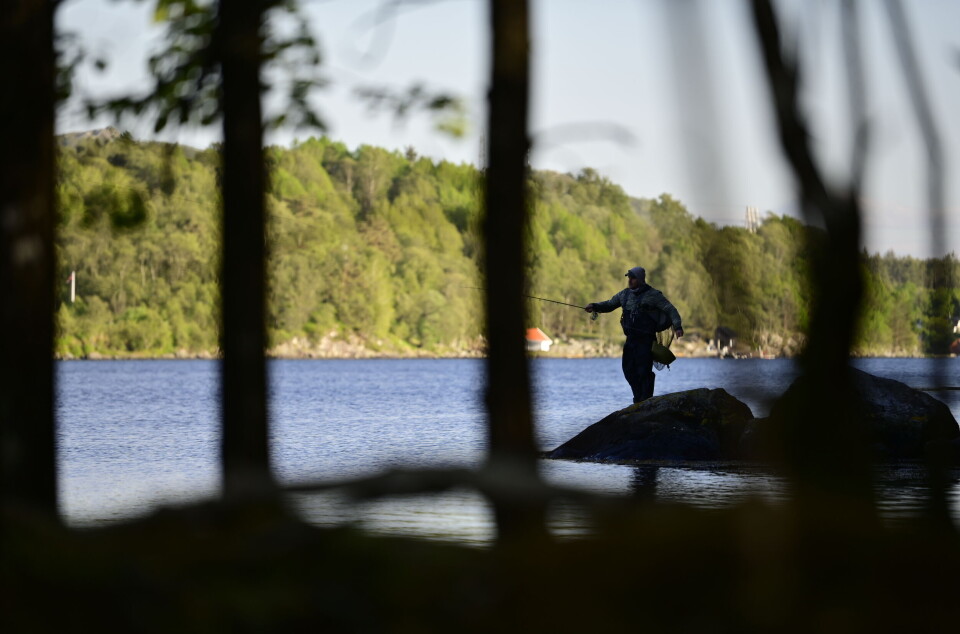 Havabborkoden? Å være mye ute. I tillegg bør du ha en solid dose tålmodighet. Havabborkoden? Å være mye ute. I tillegg bør du ha en solid dose tålmodighet.